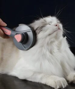 Pakeway T9 - Kattenborstel - Zelfreinigende Kattenkam - Groen - Massageborstel - 19,3 Cm 23 Pakeway T9 - Kattenborstel - Zelfreinigende Kattenkam - Groen - Massageborstel - 19,3 Cm -Hondenspeelgoed Winkel 1005x1200