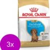 Royal Canin Bhn Dachshund Puppy - Hondenvoer - 3 X 1.5 Kg -Hondenspeelgoed Winkel 1010x1200 1