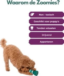 Furmey Zoomies - Honden Speelgoed - Hondenspeeltjes - Kauwbotten Hond - S Groen - 17 Cm 16 Furmey Zoomies - Honden Speelgoed - Hondenspeeltjes - Kauwbotten Hond - S Groen - 17 Cm -Hondenspeelgoed Winkel 1022x1200