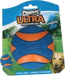 Chuckit! Chuckit Ultra Squeaker Ball Medium ø 6 Cm 2 - Pack -Hondenspeelgoed Winkel 1029x1200