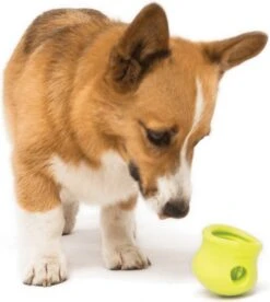 West Paw Toppl Zogoflex - Uitdagend En Sterk Speelgoed Voor Honden - Slowfeeder - Vulbaar Met Voer Of Snacks - Kleur: Groen, Maat: Large -Hondenspeelgoed Winkel 1075x1200 4