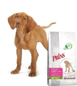 Prins Procare Daily Care Graanvrij - Hondenvoer - 7,5 Kg 18 Prins Procare Daily Care Graanvrij - Hondenvoer - 7,5 Kg -Hondenspeelgoed Winkel 1078x1200 1