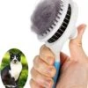 Kattenborstel/Hondenborstel Haarverwijderaar Voor Huisdieren -Hondenspeelgoed Winkel 1090x1200 1