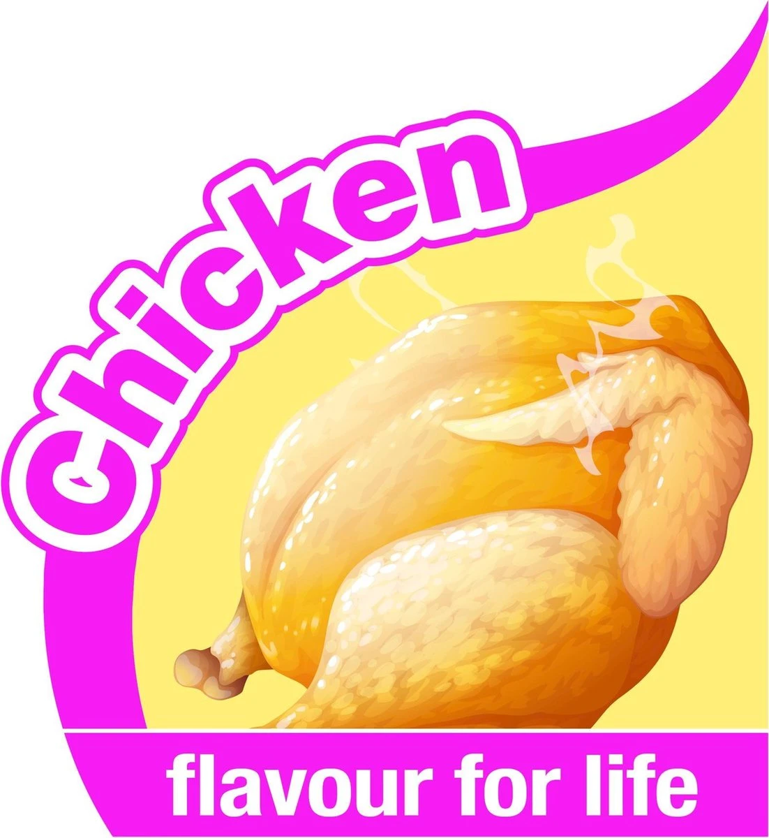 Nylabone Harde Bijters Kluif - Kip - Voor Honden Tot 15 Kg 8 Nylabone Harde Bijters Kluif - Kip - Voor Honden Tot 15 Kg - Afbeelding 6