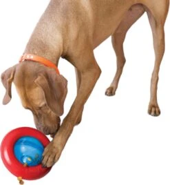 Kong-hondenspeelgoed-slowfeeder-voerdispenser- Gyro- Maat L -Hondenspeelgoed Winkel 1105x1200 3