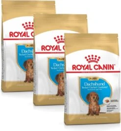 Royal Canin Bhn Dachshund Puppy - Hondenvoer - 3 X 1.5 Kg -Hondenspeelgoed Winkel 1112x1200 3