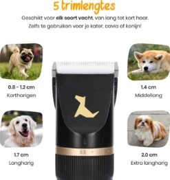 Loyalpetclub® Professionele 2-in-1 Hondentondeuse Voor Dikke Vacht – Draadloze Honden Tondeuse & Hondentrimmer – Stille Tondeuse Katten & Honden Trimset - Inclusief Opbergtasje 17 Loyalpetclub® Professionele 2-in-1 Hondentondeuse Voor Dikke Vacht – Draadloze Honden Tondeuse & Hondentrimmer – Stille Tondeuse Katten & Honden Trimset - Inclusief Opbergtasje -Hondenspeelgoed Winkel 1131x1200 1