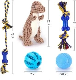 Nobleza Honden Speelgoed Set PLK - 5 Stuks 11 Nobleza Honden Speelgoed Set PLK - 5 Stuks -Hondenspeelgoed Winkel 1132x1200 1