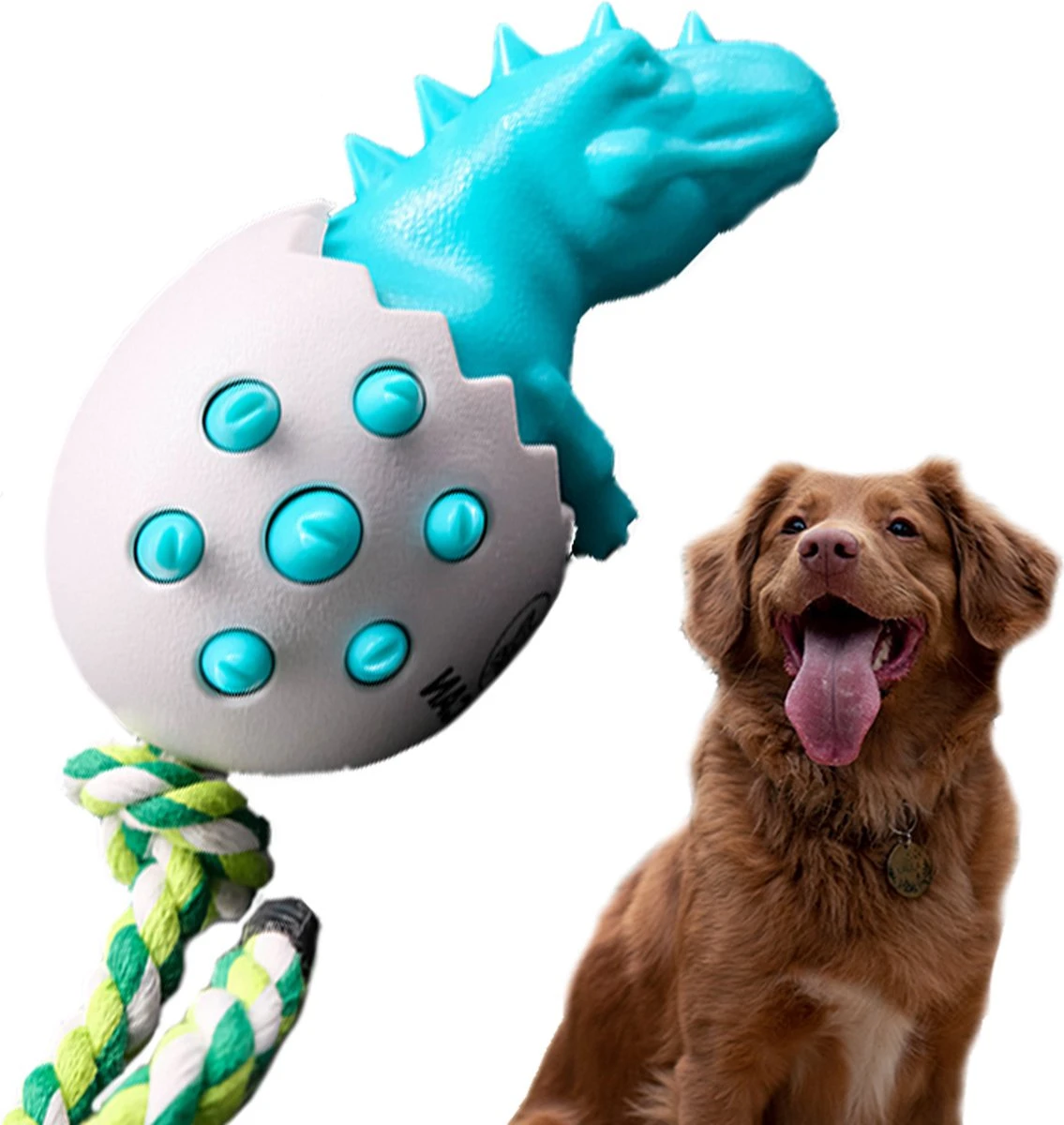TocaDino - Kauwspeelgoed - Honden - Speelgoed Voor Honden - Reiniging - Dental - Blauw 3 TocaDino - Kauwspeelgoed - Honden - Speelgoed Voor Honden - Reiniging - Dental - Blauw
