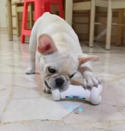 Cheerble Wickedbone|Automatisch Hondenspeeltje|Interactief En Intelligent Speelgoed Voor Honden|App & Bluetooth Bestuurbaar|USB Oplaadbaar 17 Cheerble Wickedbone|Automatisch Hondenspeeltje|Interactief En Intelligent Speelgoed Voor Honden|App & Bluetooth Bestuurbaar|USB Oplaadbaar -Hondenspeelgoed Winkel 1147x1200 4