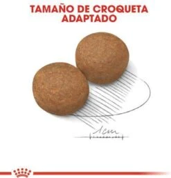 Royal Canin Maxi Adult 15 KG 31 Royal Canin Maxi Adult 15 KG -Hondenspeelgoed Winkel 1149x1200 6