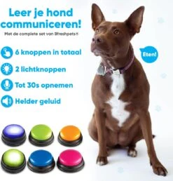 BFreshPets Praatknop Voor Honden - 6 Stuks - Dogbuttons - Hondenspeelgoed - Honden Training - Laat Uw Huisdier Spreken 18 BFreshPets Praatknop Voor Honden - 6 Stuks - Dogbuttons - Hondenspeelgoed - Honden Training - Laat Uw Huisdier Spreken -Hondenspeelgoed Winkel 1151x1200 4