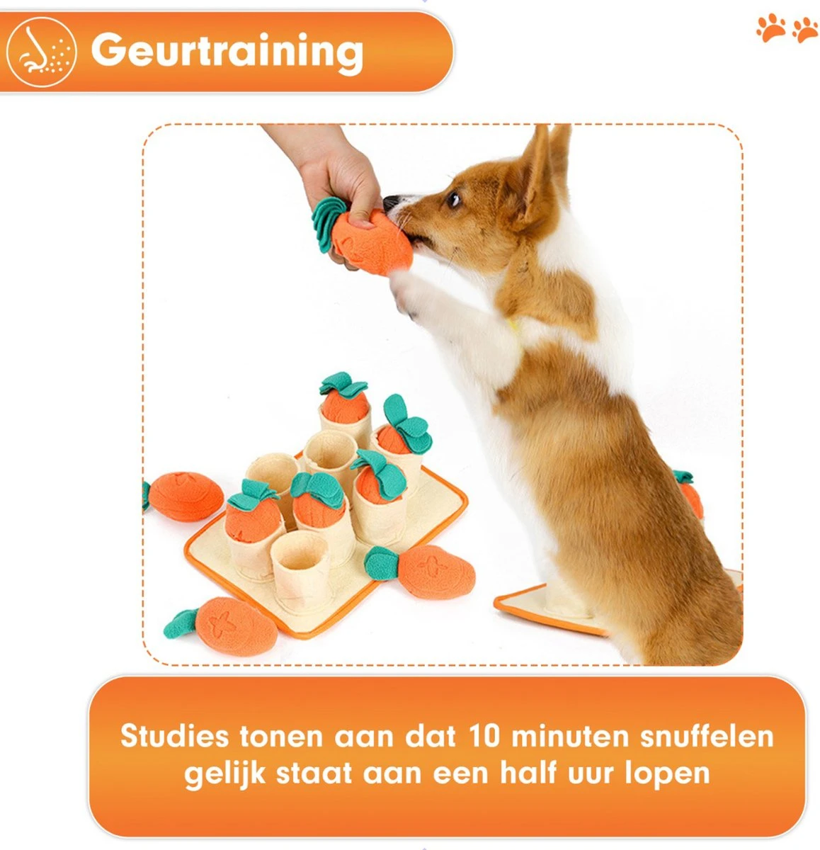 Premium Snuffelmat Voor Hond En Kat - Intelligentie Speelgoed - Snuffel Mat Puppy - IQ Hondenspeeltjes - Educatieve Training Huisdier - Snuffeltrainer Hondenpuzzel - Educatief Speelgoed - Vetalo 4 Premium Snuffelmat Voor Hond En Kat - Intelligentie Speelgoed - Snuffel Mat Puppy - IQ Hondenspeeltjes - Educatieve Training Huisdier - Snuffeltrainer Hondenpuzzel - Educatief Speelgoed - Vetalo - Afbeelding 2