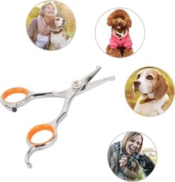Merkloos Premium Gebogen Trimschaar Honden - Huisdier Trimmen - Hoofd, Poten Ogen & Oren - Kat & Hond Knippen - Veilige Schaar 16 Merkloos Premium Gebogen Trimschaar Honden - Huisdier Trimmen - Hoofd, Poten Ogen & Oren - Kat & Hond Knippen - Veilige Schaar -Hondenspeelgoed Winkel 1159x1200 1