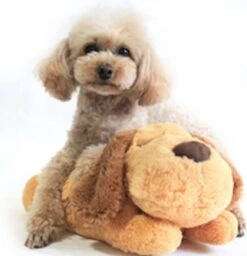 Merkloos Knuffel Met Hartslag Speciaal Voor Puppy's - Snuggle Heart Beat Puppy - Hartslagknuffel - Pluche -Hondenspeelgoed Winkel 1160x1200 4