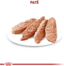 Royal Canin Ccn Sterilised Wet - Hondenvoer - 12x85 G 12 Royal Canin Ccn Sterilised Wet - Hondenvoer - 12x85 G -Hondenspeelgoed Winkel 1166x1200 5