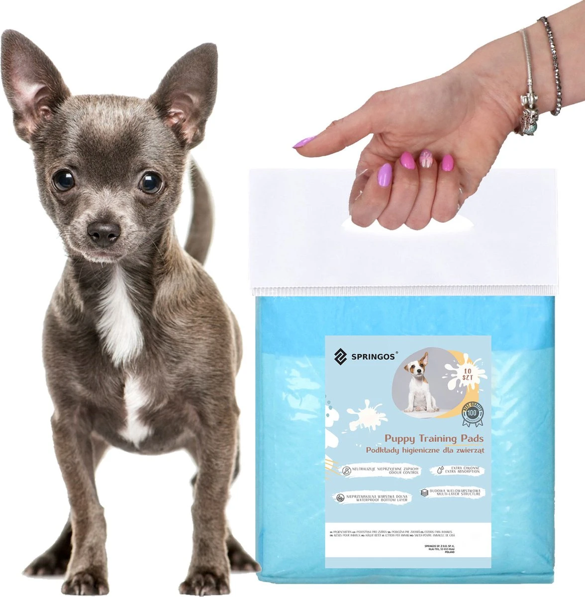 Springos Puppy Training Pads| Plasmatjes Hond | Zindelijkheidstraining | 10 Stuks | 35 X 45 Cm 5 Springos Puppy Training Pads| Plasmatjes Hond | Zindelijkheidstraining | 10 Stuks | 35 X 45 Cm - Afbeelding 3