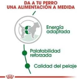 Royal Canin Mini Adult 8 KG 37 Royal Canin Mini Adult 8 KG -Hondenspeelgoed Winkel 1177x1200 4