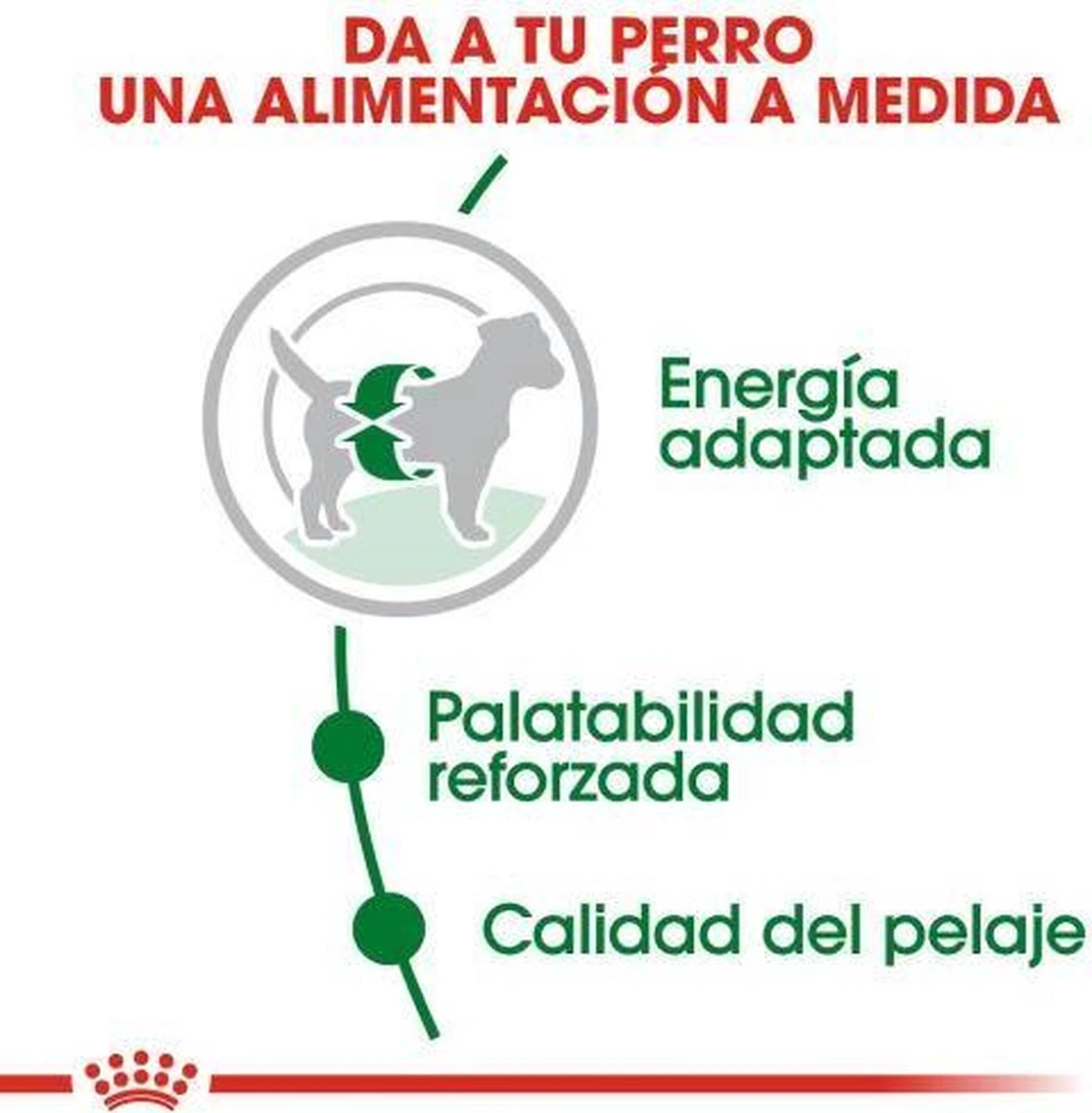 Royal Canin Mini Adult 8 KG 19 Royal Canin Mini Adult 8 KG - Afbeelding 17