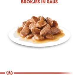 Royal Canin Shn Mini Ageing 12plus Pouch - Hondenvoer - 12x85 G 12 Royal Canin Shn Mini Ageing 12plus Pouch - Hondenvoer - 12x85 G -Hondenspeelgoed Winkel 1177x1200 5