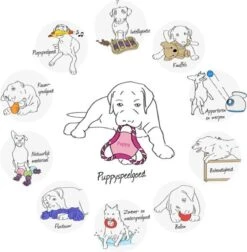 Trixie Dogtoy Dog Activity Strategy Game Gamble Box - Piepend Speelgoed - 15cm X 15cm X 9cm - Zwart/rood/oranje -Hondenspeelgoed Winkel 1178x1200 8