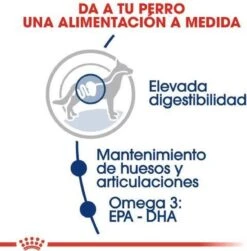 Royal Canin Maxi Adult 15 KG 28 Royal Canin Maxi Adult 15 KG -Hondenspeelgoed Winkel 1180x1200 2