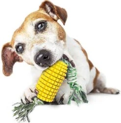 Merkloos Corn Dog Toothbrush - Honden Speelgoed - Hondenspeelgoed - Honden Tandenborstel - Gezond Dieet - Hondenspeeltje - Honden Speelgoed Intelligentie -Hondenspeelgoed Winkel 1183x1200 2