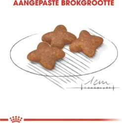 Royal Canin Mini Adult 8 KG 25 Royal Canin Mini Adult 8 KG -Hondenspeelgoed Winkel 1185x1200 7