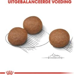 Royal Canin Digestive Care Medium - Hondenvoer - 12 Kg -Hondenspeelgoed Winkel 1186x1200 2