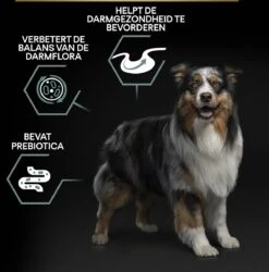 Pro Plan Medium Adult Sensitive Digestion - Honden Droogvoer - Lam - 14 Kg -Hondenspeelgoed Winkel 1187x1200 13