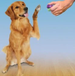 Petsafe Clicker Voor Training -Hondenspeelgoed Winkel 1188x1200 3