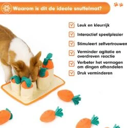 Premium Snuffelmat Voor Hond En Kat - Intelligentie Speelgoed - Snuffel Mat Puppy - IQ Hondenspeeltjes - Educatieve Training Huisdier - Snuffeltrainer Hondenpuzzel - Educatief Speelgoed - Vetalo 18 Premium Snuffelmat Voor Hond En Kat - Intelligentie Speelgoed - Snuffel Mat Puppy - IQ Hondenspeeltjes - Educatieve Training Huisdier - Snuffeltrainer Hondenpuzzel - Educatief Speelgoed - Vetalo -Hondenspeelgoed Winkel 1189x1200 6