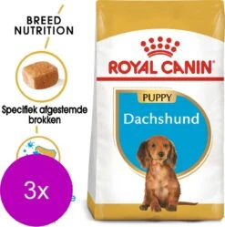 Royal Canin Bhn Dachshund Puppy - Hondenvoer - 3 X 1.5 Kg -Hondenspeelgoed Winkel 1189x1200 7