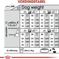 Royal Canin Digestive Care Medium - Hondenvoer - 12 Kg -Hondenspeelgoed Winkel 1193x1200 4