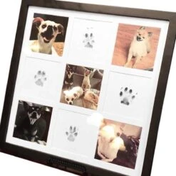 Merkloos Paw Print Pad - Pootafdruk Maken Van Hond Of Kat -Hondenspeelgoed Winkel 1197x1200 2