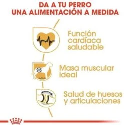 Royal Canin Rottweiler 12 KG 22 Royal Canin Rottweiler 12 KG -Hondenspeelgoed Winkel 1197x1200 7