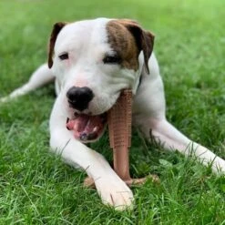 Spot Bam-Bones Plus Easy Grip - Veilig Kauwbot Voor Honden - Speciaal Voor Sterke Kauwers - Verzorgt Het Gebit Van De Hond - Rund Of Kip - S/M/L - Maat: Large, Smaak: Kip 17 Spot Bam-Bones Plus Easy Grip - Veilig Kauwbot Voor Honden - Speciaal Voor Sterke Kauwers - Verzorgt Het Gebit Van De Hond - Rund Of Kip - S/M/L - Maat: Large, Smaak: Kip -Hondenspeelgoed Winkel 1198x1200 13