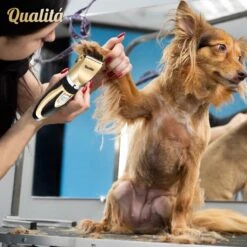 Merkloos Professionele Honden Tondeuse Set - Tondeuse Voor Huisdier Honden En Katten - Hondentrimmer - Hondentondeuse 15 Merkloos Professionele Honden Tondeuse Set - Tondeuse Voor Huisdier Honden En Katten - Hondentrimmer - Hondentondeuse -Hondenspeelgoed Winkel 1198x1200 5