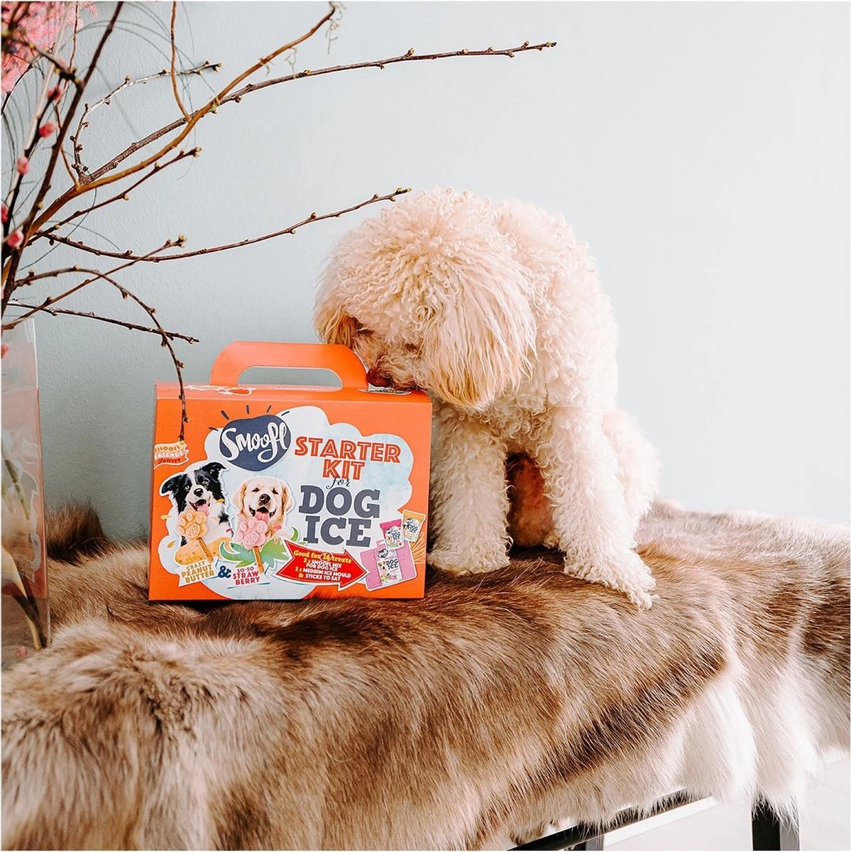 Smoofl Honden Lekkernij - Starter Kit Om Je Eigen Honden Ijs Te Maken, Kit Met 2 Ijsmixen Voor Honden, Pindakaas En Aardbei Smaak, Een Pootvormige Silicone Vorm - Voor 4 Hondenijsjes 5 Smoofl Honden Lekkernij - Starter Kit Om Je Eigen Honden Ijs Te Maken, Kit Met 2 Ijsmixen Voor Honden, Pindakaas En Aardbei Smaak, Een Pootvormige Silicone Vorm - Voor 4 Hondenijsjes - Afbeelding 3