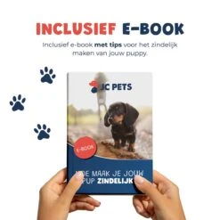 JC Pets Premium Pad Houder Met Rooster - Inclusief 20 Puppy Training Pads - Hondentoilet - Zindelijkheidstraining Hond 23 JC Pets Premium Pad Houder Met Rooster - Inclusief 20 Puppy Training Pads - Hondentoilet - Zindelijkheidstraining Hond -Hondenspeelgoed Winkel 1199x1200 4