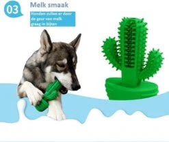 Tandenborstel + TANDPASTA Hond Melk Geur Smaak En Piep Honden Speelgoed - Cactus Dog Toy Tandverzorging Kauwbotten Hondenspeelgoed Hondenbot Kauwstaaf Tanden Puppy Hondenspeeltje Sterk Kauwspeelgoed - Dutchwide -Hondenspeelgoed Winkel 1200x1008 3