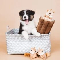 Zippy Paws - Petshop By Fringe Studio- Intelligentie Spel - Speelgoed Hond - Honden - Puzzel - Eekhoorn -Hondenspeelgoed Winkel 1200x1014 1