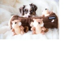 Zippy Paws - Petshop By Fringe Studio- Intelligentie Spel - Speelgoed Hond - Honden - Puzzel - Eekhoorn -Hondenspeelgoed Winkel 1200x1014 2