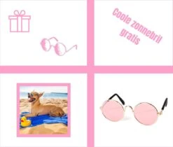 Pepets© – Hondenhanddoek – Honden Handdoek – Microvezel Handdoek – Handdoek Hond – Hondendeken – Droogdoek Hond – Dierendeken – Absorberend – 100*50CM - Beige - GRATIS Zonnebril -Hondenspeelgoed Winkel 1200x1018