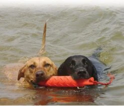 Kong Training Dummy - Hondenspeelgoed - Oranje - L - 27 Cm -Hondenspeelgoed Winkel 1200x1022