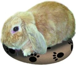 Snugglesafe Warmteschijf Hond/Kat - 24 Cm 8 Snugglesafe Warmteschijf Hond/Kat - 24 Cm -Hondenspeelgoed Winkel 1200x1026 4