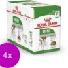 Royal Canin Shn Mini Adult Pouch - Hondenvoer - 4 X 12 X 85 G -Hondenspeelgoed Winkel 1200x1042 2