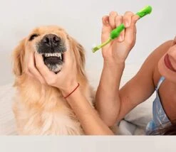 Merkloos Tandenborstel - Voor Huisdieren - Honden - 3 Zijdig - Multi-Hoek - Schoonmaken - Tanden - Slechte Adem - Tandsteen - Tandenborstel - Gezondheid - Blauw -Hondenspeelgoed Winkel 1200x1042