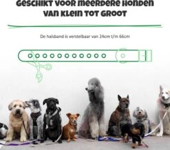 Anti Blafband Met Afstandsbediening - Blafband Voor Honden - Anti Blaf Apparaat Zonder Schok - Twee In Een Trainingshalsband 17 Anti Blafband Met Afstandsbediening - Blafband Voor Honden - Anti Blaf Apparaat Zonder Schok - Twee In Een Trainingshalsband -Hondenspeelgoed Winkel 1200x1055
