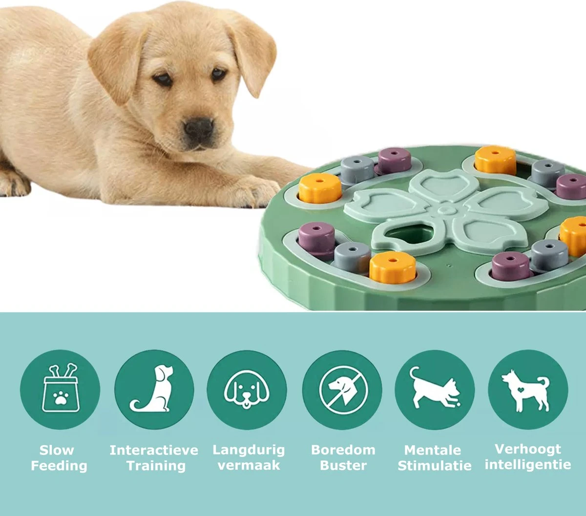 ZERO 90® Honden Speelgoed Intelligentie - Honden Denkspelletjes - Honden Speelgoed Voor Snacks - Dog Activity Booard - Slowfeeder - Hondenpuzzel Intelligentie Trainer 3 ZERO 90® Honden Speelgoed Intelligentie - Honden Denkspelletjes - Honden Speelgoed Voor Snacks - Dog Activity Booard - Slowfeeder - Hondenpuzzel Intelligentie Trainer